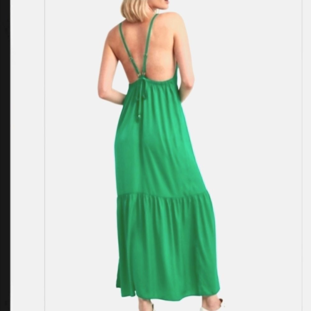 Halston Maxi Dress in Parakeet Green  GORGEOUS